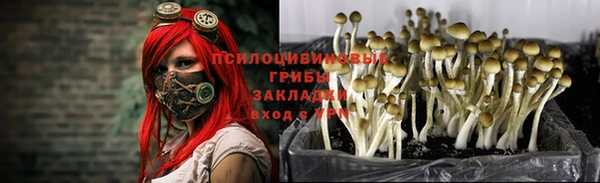 ГАЛЛЮЦИНОГЕННЫЕ ГРИБЫ Беломорск