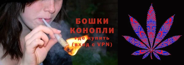 амф Белокуриха
