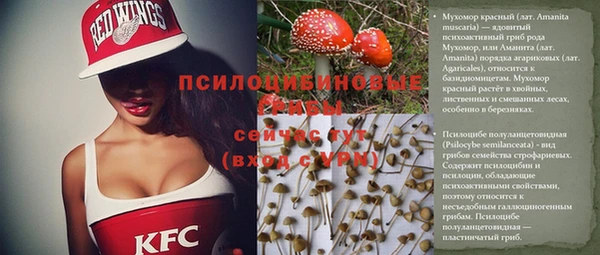 ГАЛЛЮЦИНОГЕННЫЕ ГРИБЫ Беломорск