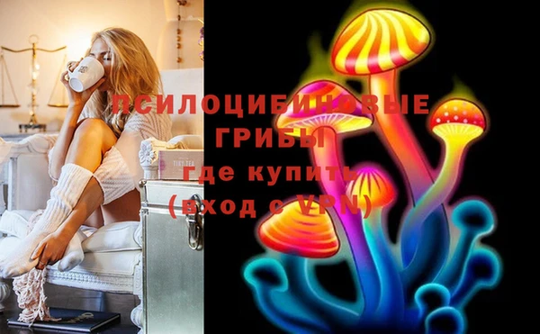 амф Белокуриха