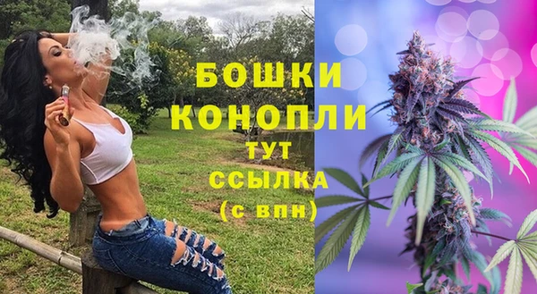 амф Белокуриха