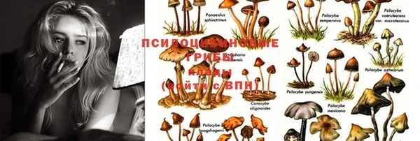 ГАЛЛЮЦИНОГЕННЫЕ ГРИБЫ Беломорск