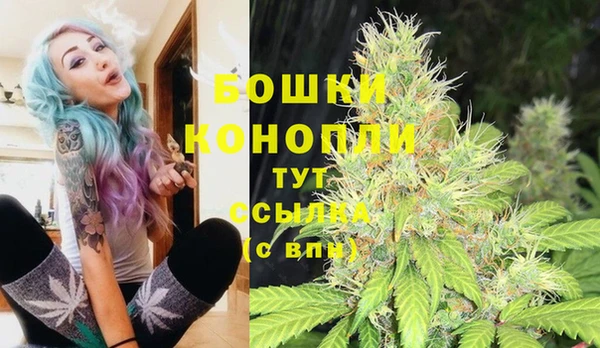 амф Белокуриха