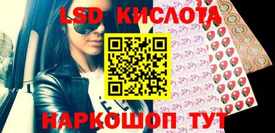 jwh Кингисепп