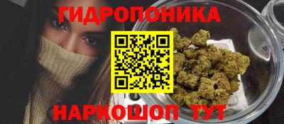 амф Кимры