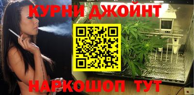 амф Кимры