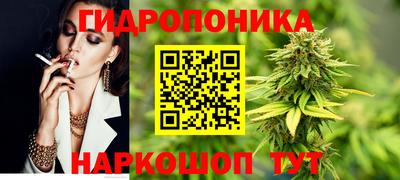 амф Кимры