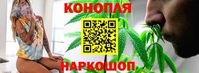 jwh Кингисепп