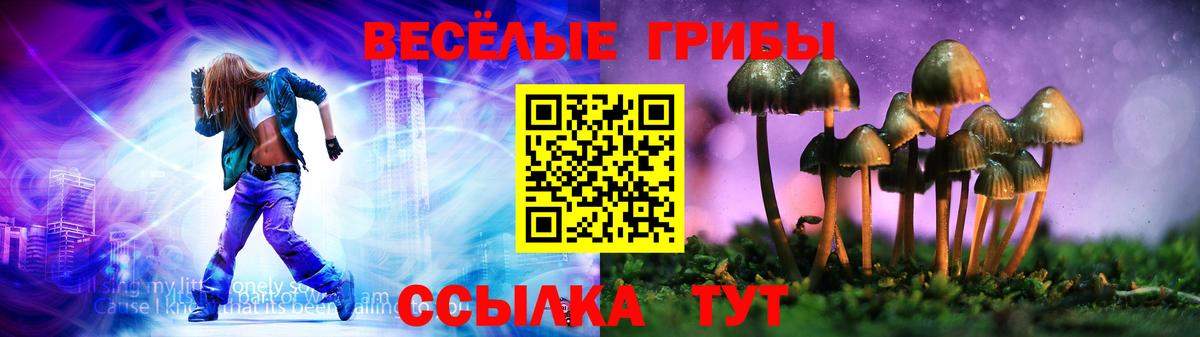 Галлюциногенные грибы мицелий  Вход с VPN  Кушва 